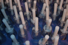 07-29-2007-RelayForLife-112