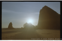 Summer-2025-Roll-I-FujiFilm-200-13