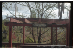 Summer-2025-Roll-I-FujiFilm-200-33