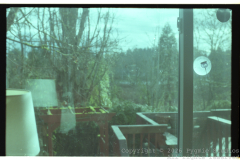 Summer-2025-Roll-I-FujiFilm-200-37